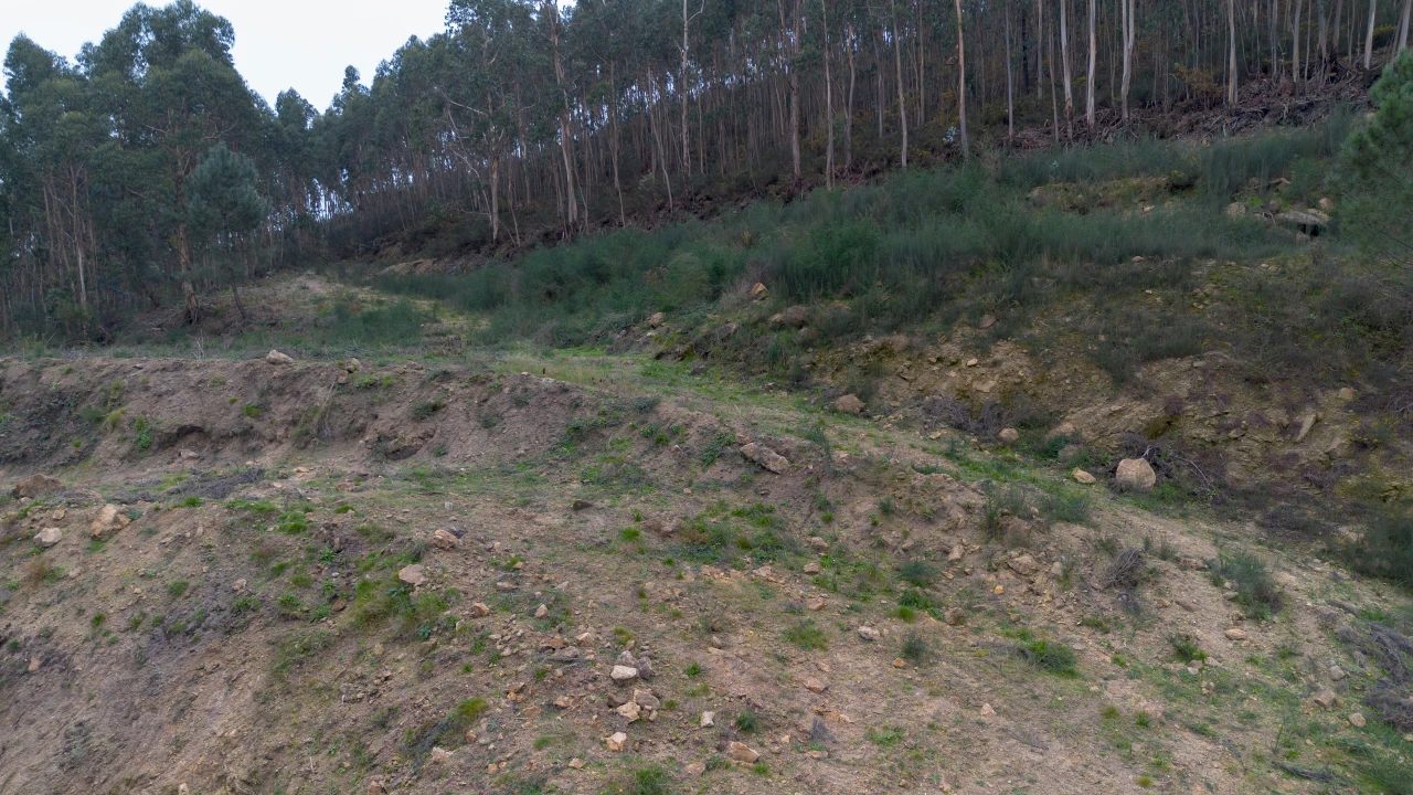 Terreno para Venda em Vandoma Foto 18