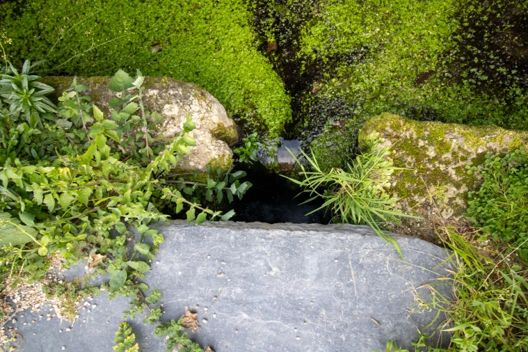 Moradia T0 para Venda em Sobrosa Foto 15