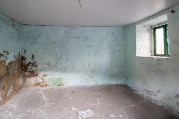 Moradia T0 para Venda em Sobrosa Foto 5