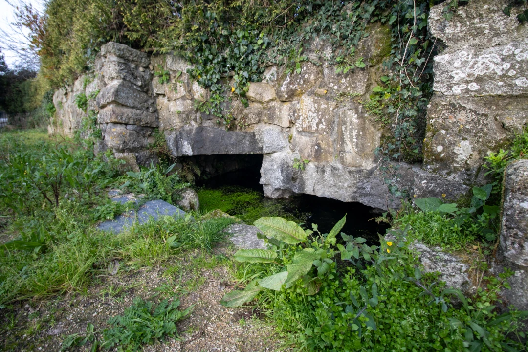 Moradia T0 para Venda em Sobrosa Foto 13