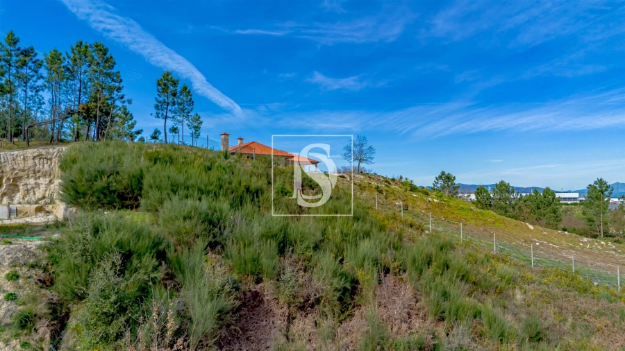 Terreno para Venda em Fregim Foto 5