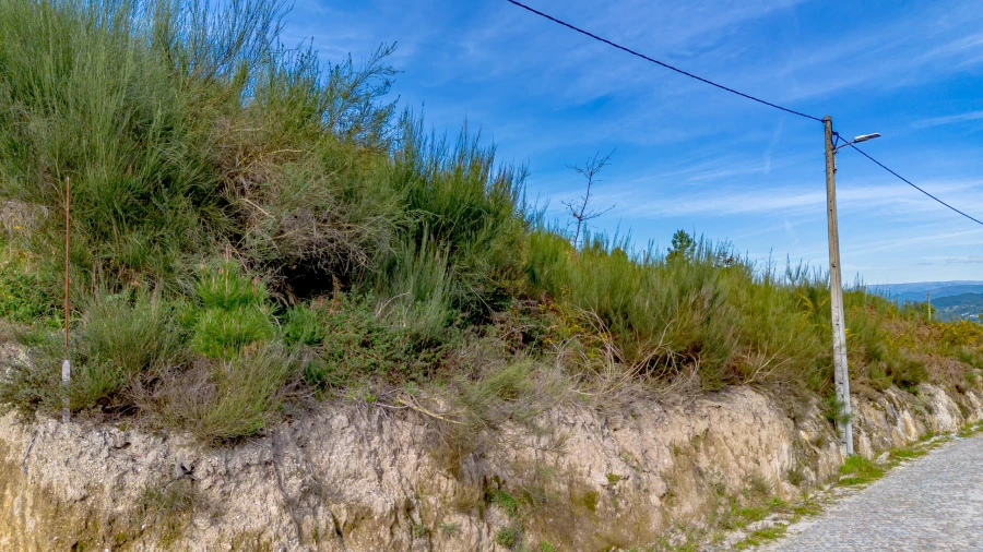 Terreno para Venda em Fregim Foto 8