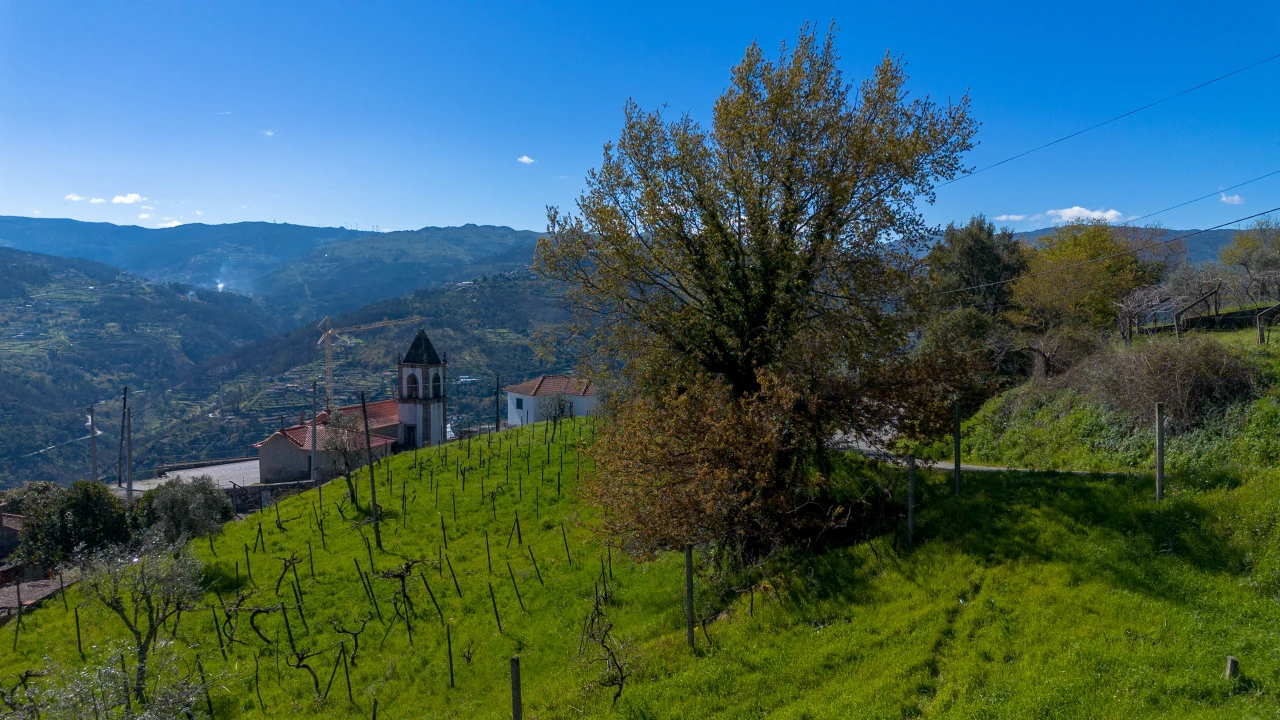 Terreno para Venda em Ancede e Ribadouro Foto 7
