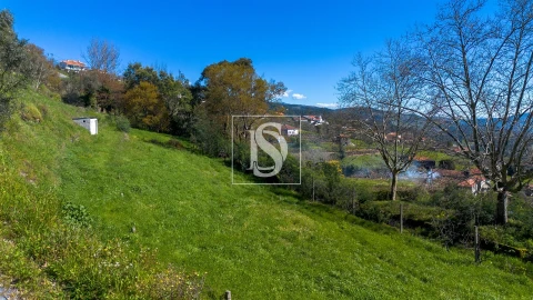 Terreno para Venda em Ancede e Ribadouro