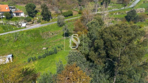 Terreno para Venda em Ancede e Ribadouro
