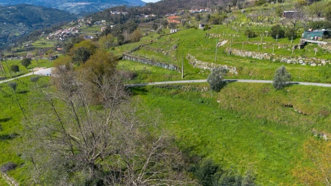 Terreno para Venda em Ancede e Ribadouro