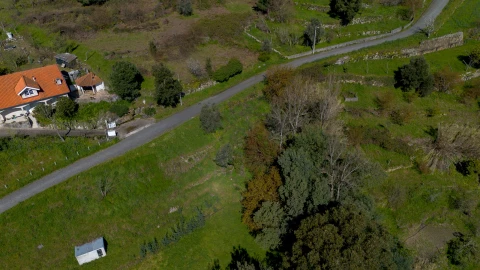 Terreno para Venda em Ancede e Ribadouro
