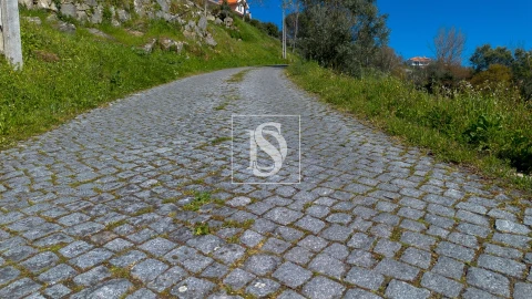 Terreno para Venda em Ancede e Ribadouro