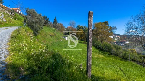 Terreno para Venda em Ancede e Ribadouro