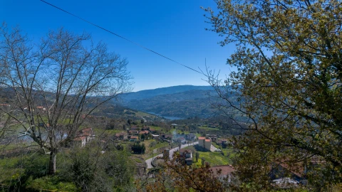 Terreno para Venda em Ancede e Ribadouro