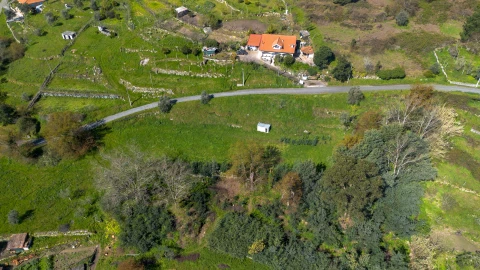 Terreno para Venda em Ancede e Ribadouro