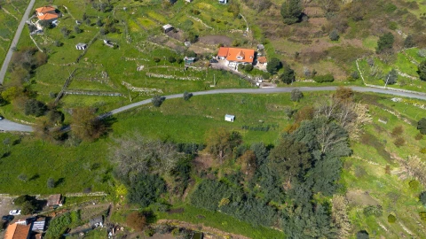 Terreno para Venda em Ancede e Ribadouro
