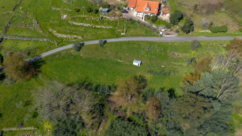 Terreno para Venda em Ancede e Ribadouro