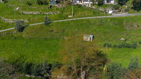 Terreno para Venda em Ancede e Ribadouro