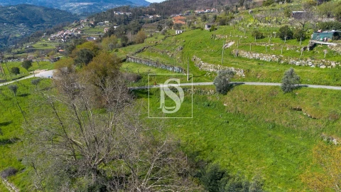 Terreno para Venda em Ancede e Ribadouro