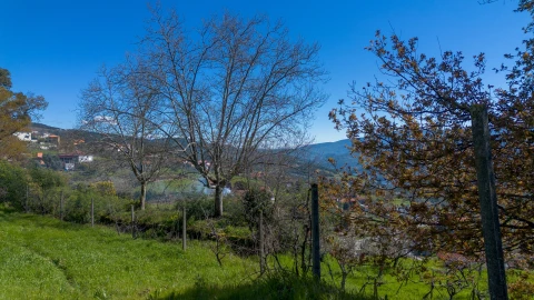 Terreno para Venda em Ancede e Ribadouro