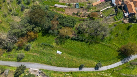 Terreno para Venda em Ancede e Ribadouro