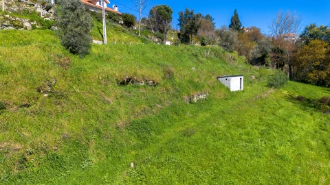 Terreno para Venda em Ancede e Ribadouro