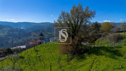 Terreno para Venda em Ancede e Ribadouro