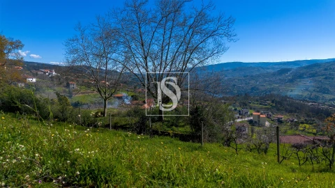 Terreno para Venda em Ancede e Ribadouro
