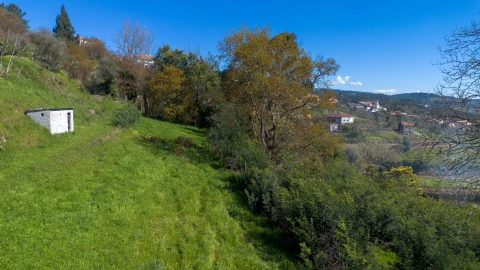 Terreno para Venda em Ancede e Ribadouro