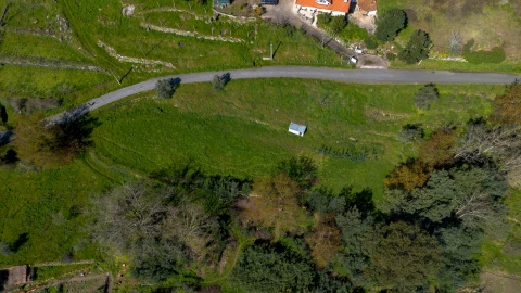 Terreno para Venda em Ancede e Ribadouro