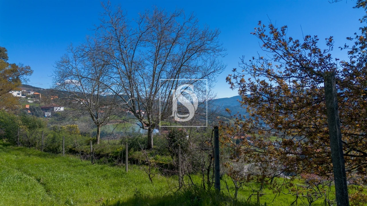 Terreno para Venda em Ancede e Ribadouro Foto 15