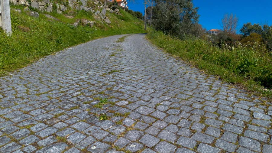 Terreno para Venda em Ancede e Ribadouro Foto 10