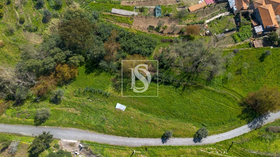 Terreno para Venda em Ancede e Ribadouro Foto 2