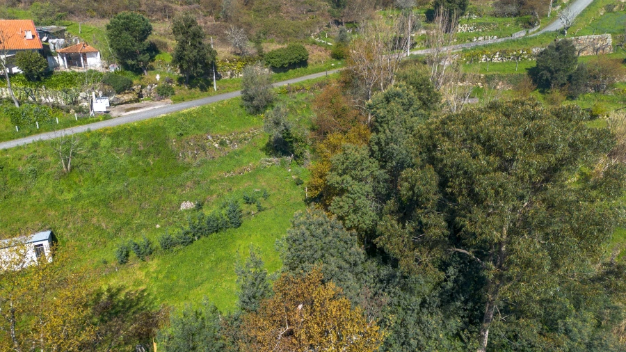 Terreno para Venda em Ancede e Ribadouro Foto 22