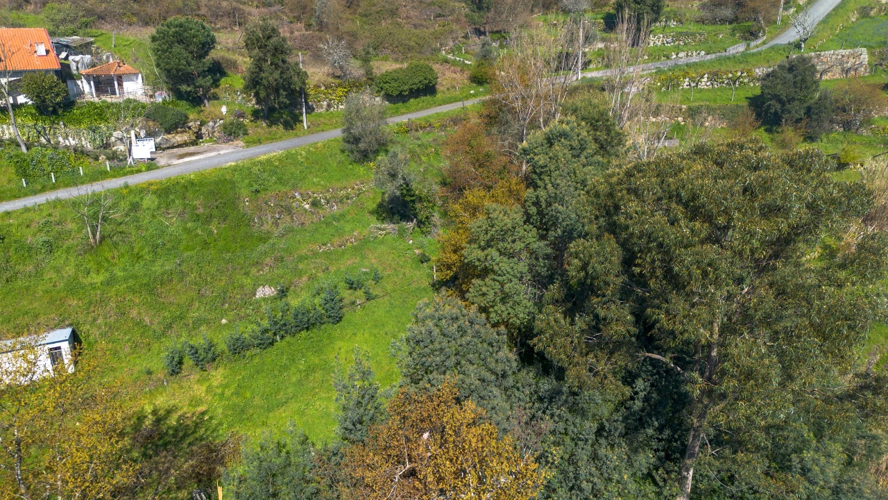 Terreno para Venda em Ancede e Ribadouro Foto 22