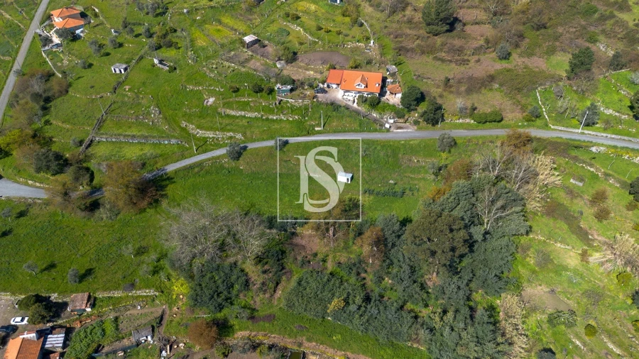 Terreno para Venda em Ancede e Ribadouro