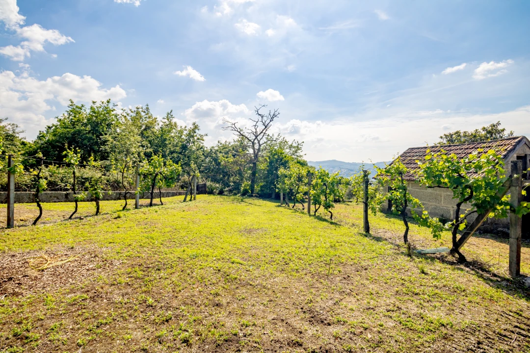 Moradia T3 para Venda em Lufrei Foto 48