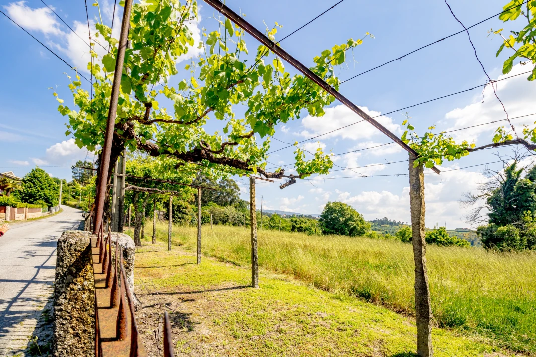 Moradia T3 para Venda em Lufrei Foto 30