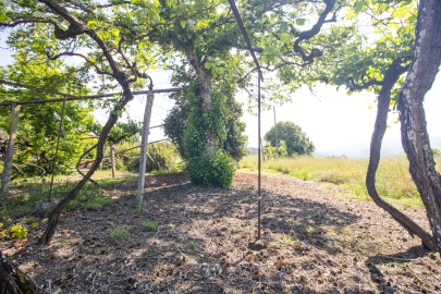 Moradia T3 para Venda em Lufrei