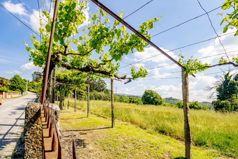 Moradia T3 para Venda em Lufrei Foto 30