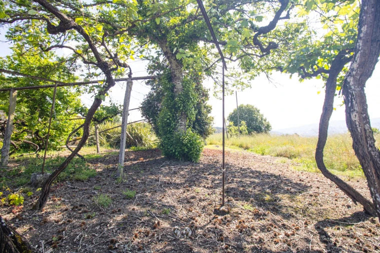 Moradia T3 para Venda em Lufrei Foto 28