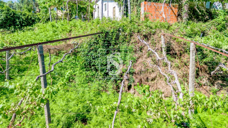 Moradia T3 para Venda em Vila Garcia, Aboim e Chapa Foto 47