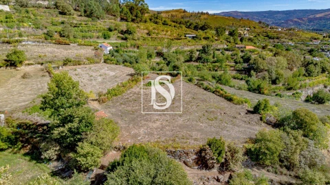 Terreno para Venda em Frende