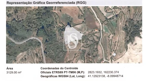 Terreno para Venda em Frende