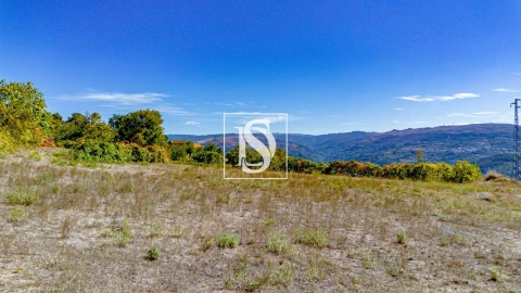 Terreno para Venda em Frende