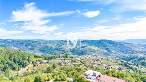 Terreno para Venda em Frende