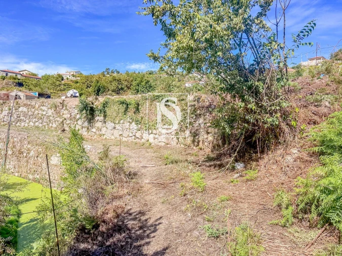 Terreno para Venda em Frende Foto 5