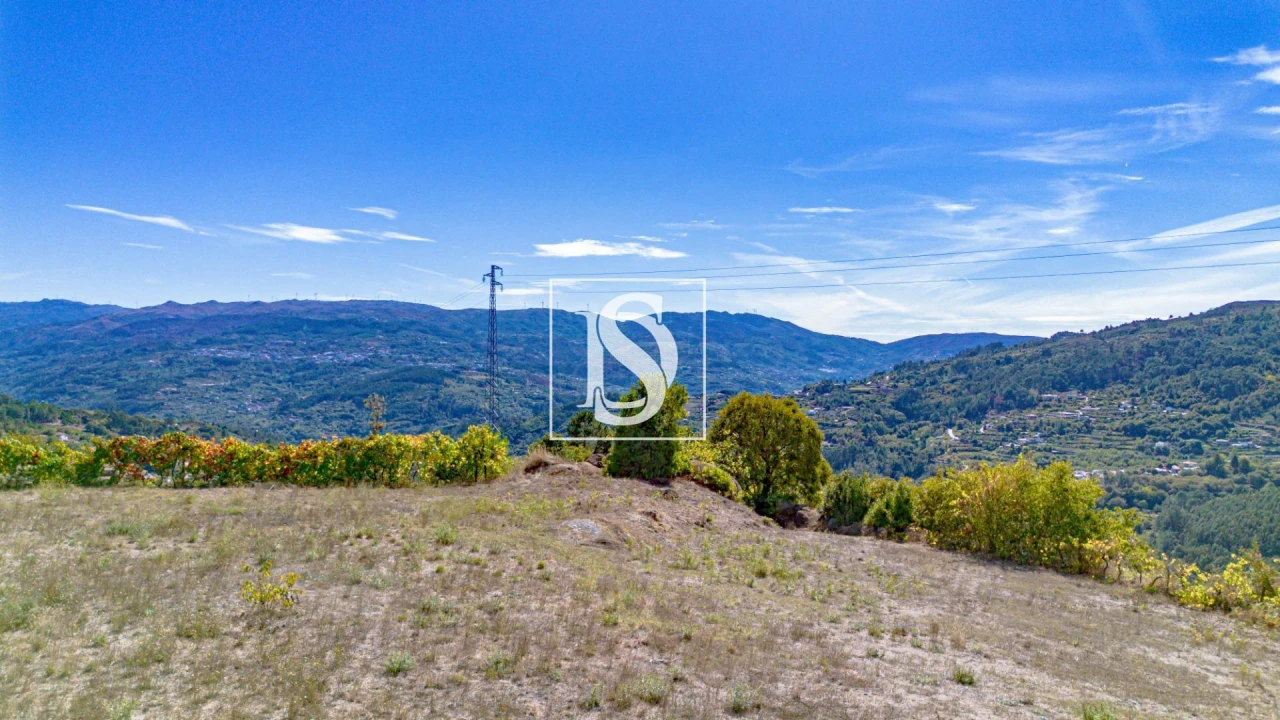 Terreno para Venda em Frende Foto 6