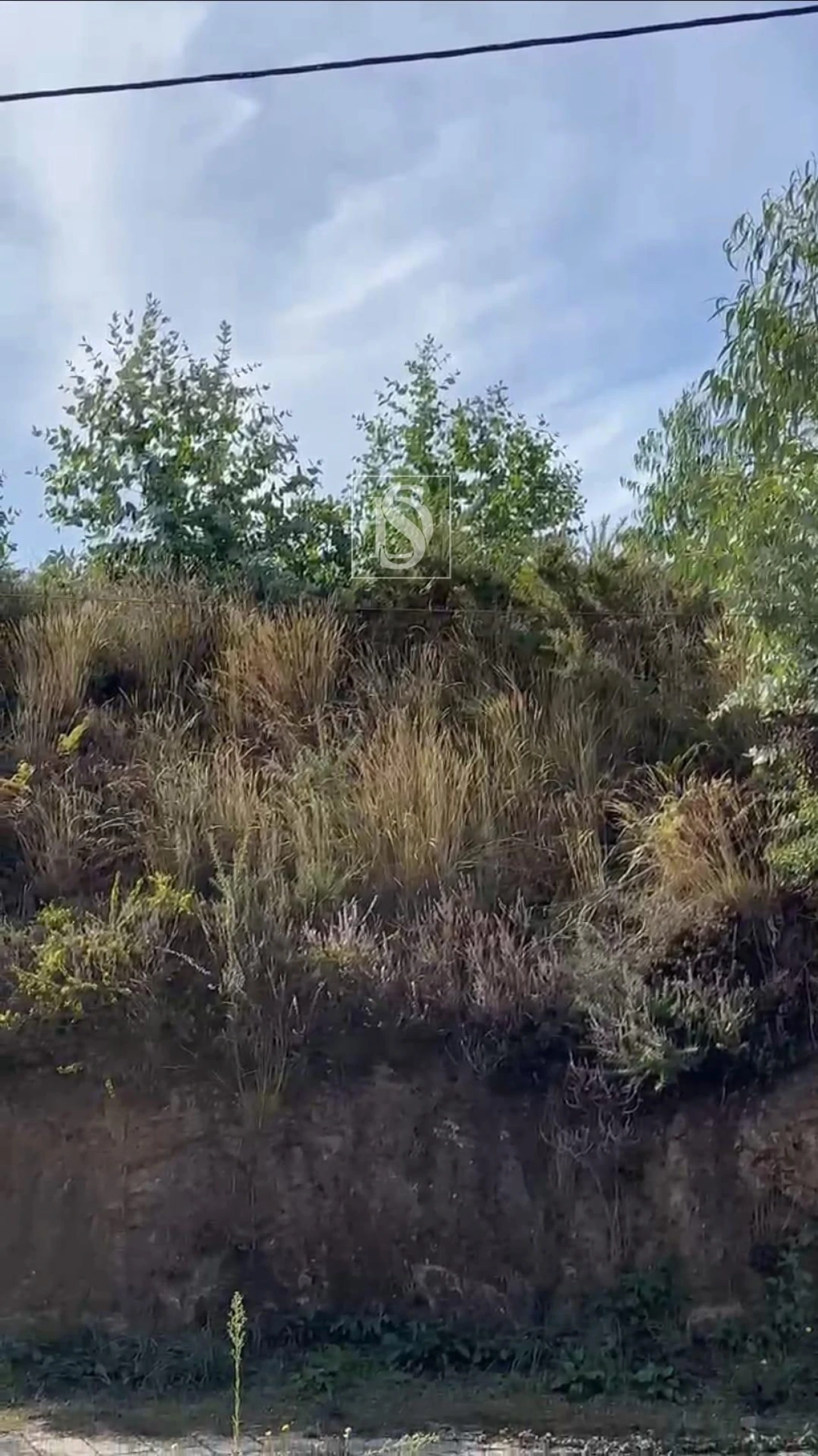 Terreno para Venda em Vila Garcia, Aboim e Chapa Foto 4