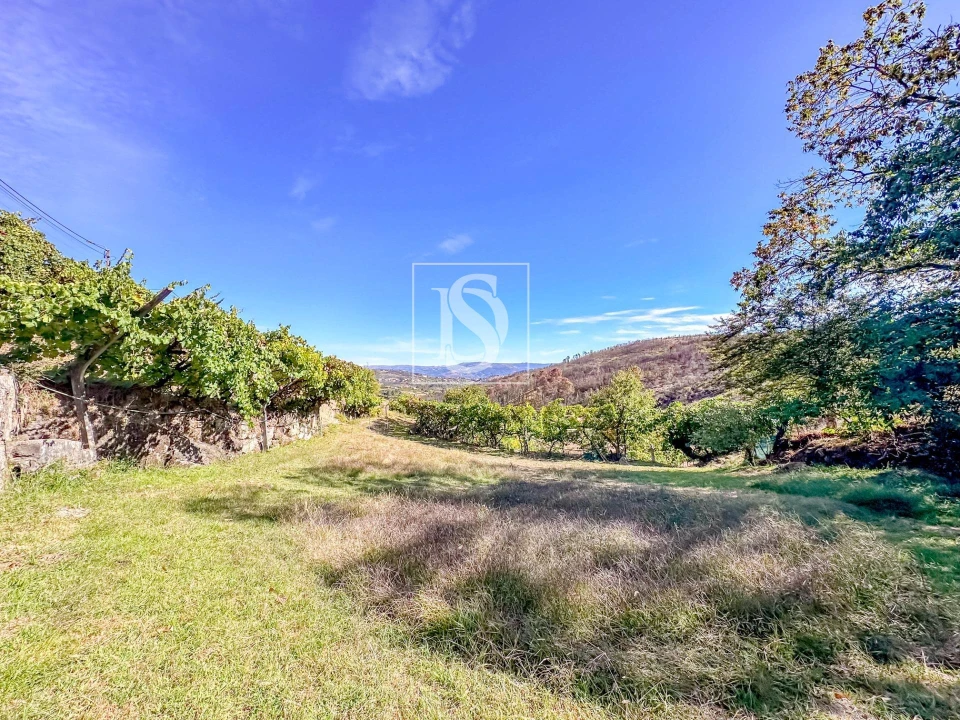 Terreno para Venda em Grilo Foto 11