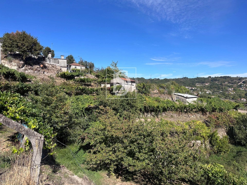 Terreno para Venda em Grilo Foto 3