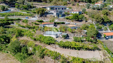Terreno para Venda em Grilo