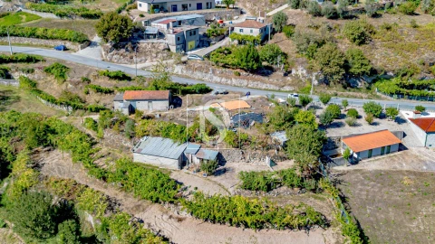 Terreno para Venda em Grilo