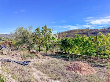 Terreno para Venda em Grilo